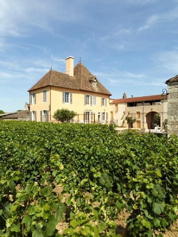 풀리그니몽트라솃 Le Vieux Chateau 빌라 외부 사진